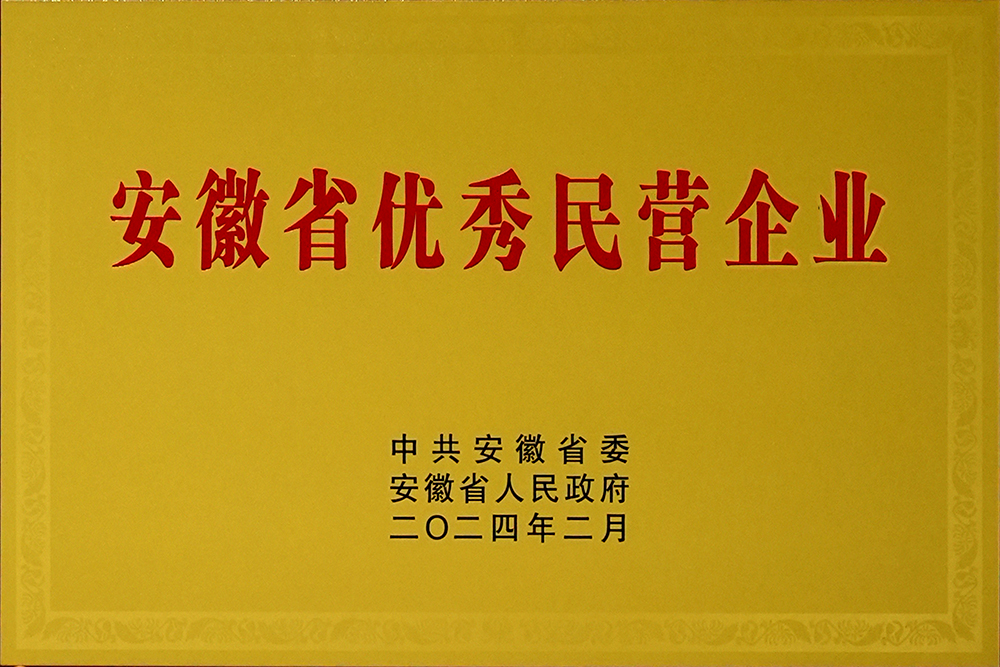 豪家股份榮獲“安徽省百名優(yōu)秀民營企業(yè)”稱號